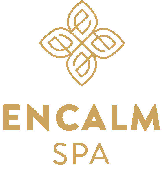 Airport Hospitality and Premium Services | Airport Assistance by Encalm